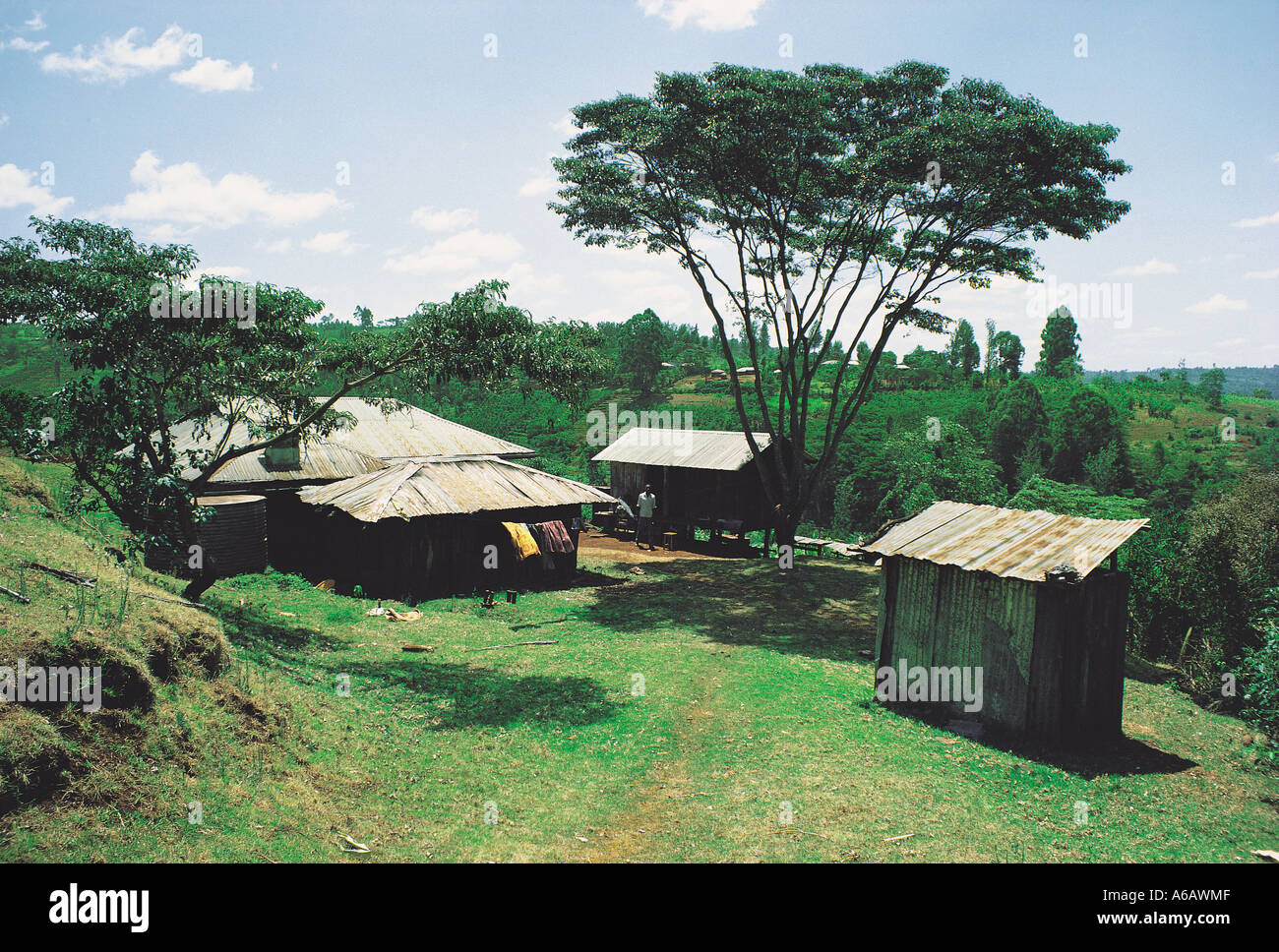 Kikuyu Einfamilienhaus zwischen Karatina und Nyeri Kenia in Ostafrika Stockfoto