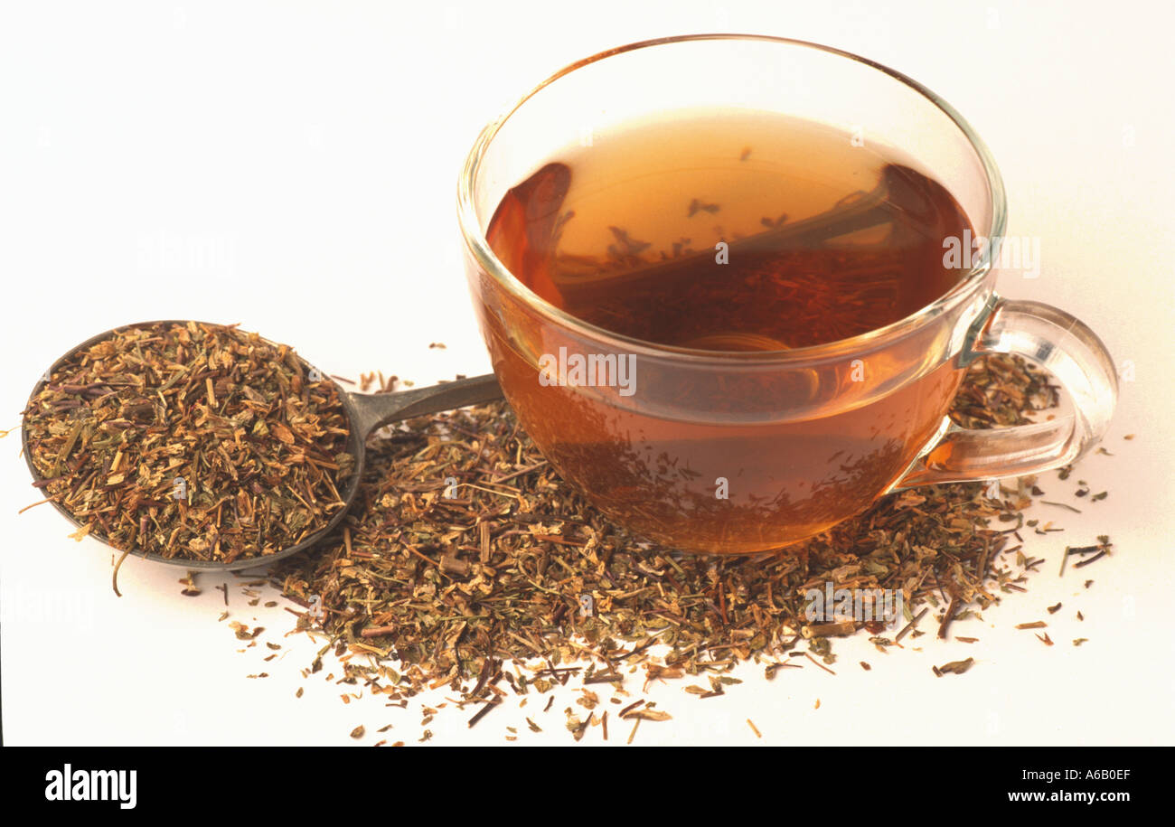 Augentrost Tee Tee Augentrost Euphraisa officinalis Stockfoto