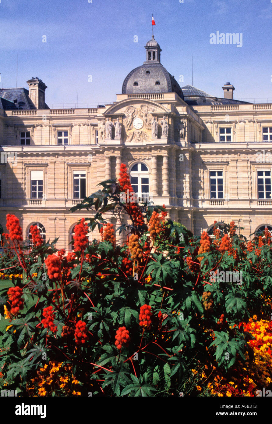 Frankreich Paris Palais du Luxembourg oder Luxembourg Palace oder Marie de Médicis Palace außen Le Sénat im Jardin du Luxembourg Stockfoto