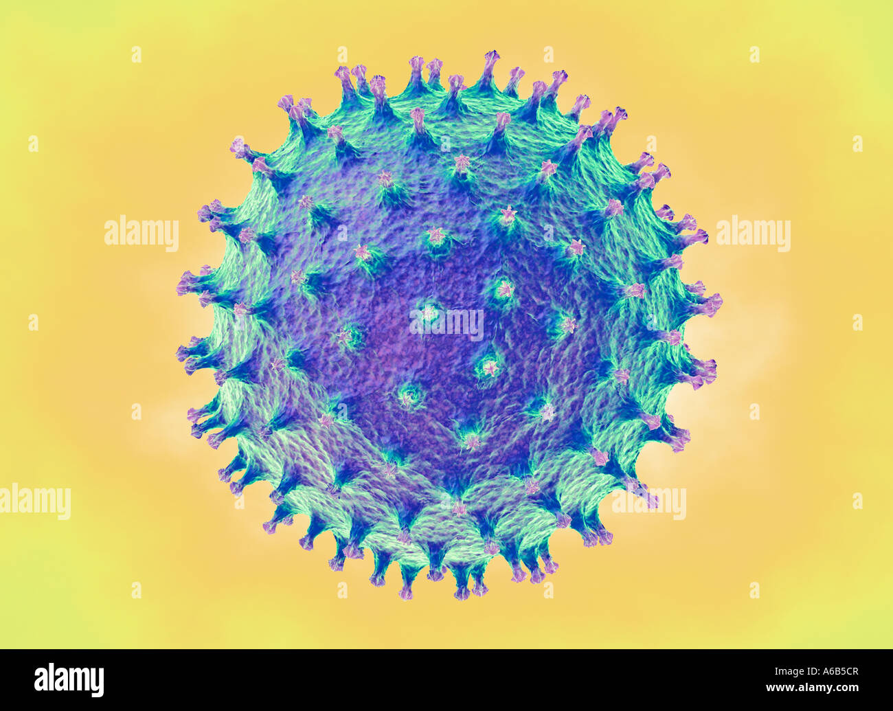 Virus-Symbol von Virus-Krankheiten wie Grippe Vogel Grippe Schweinegrippe Noro Norwalk Infektion Krankheit epidemische Pandemie Pandemie Stockfoto