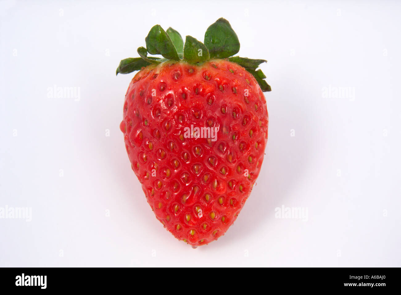 Erdbeere Stockfoto