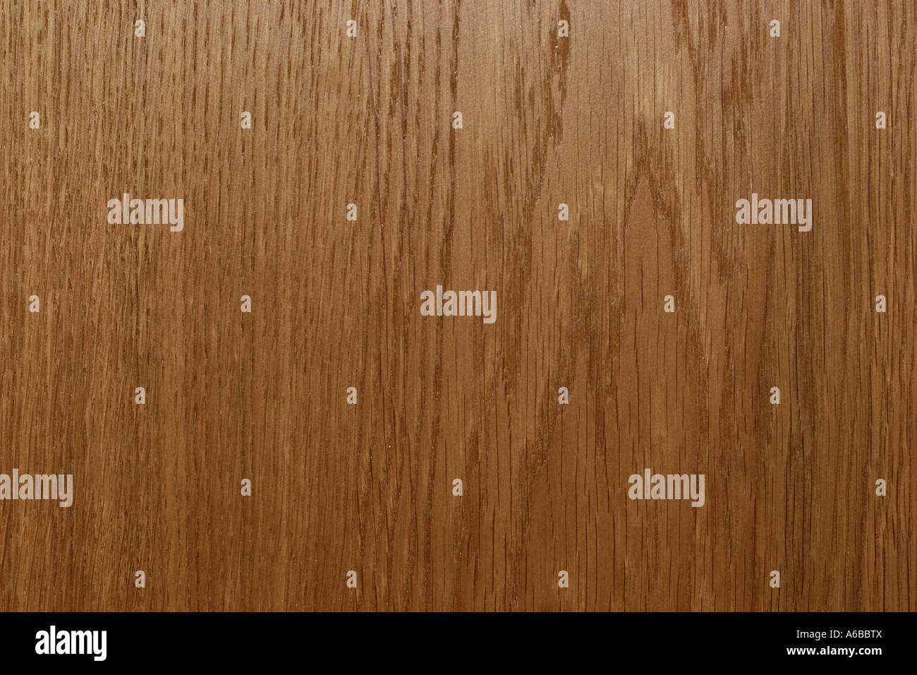 Hintergrund der echte Eiche Holz Textur Stockfoto