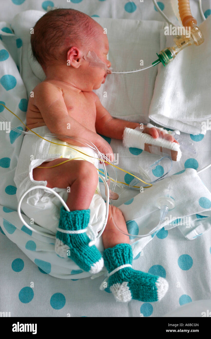 Baby im Inkubator Stockfoto
