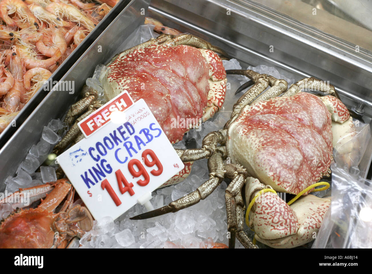 Königskrabben in eine Australien-Meeresfrüchte-Markt zu verkaufen Stockfoto