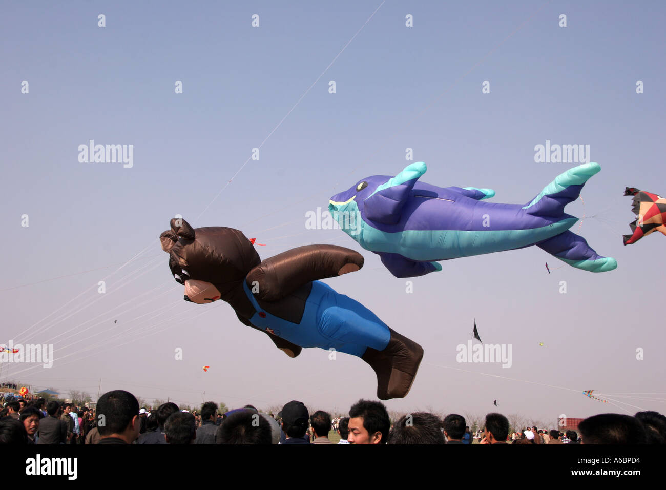 Drachen Kite Festival Weifang China Stockfoto