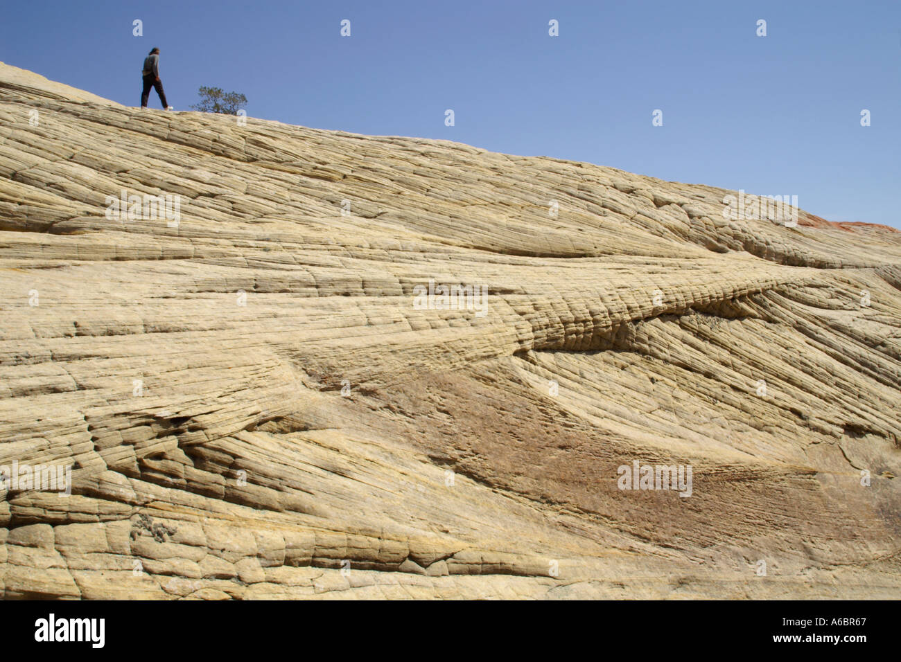 Mann allein zu Fuß am Rand der weißen Sandsteinformation Snow Canyon State Park Utah USA Stockfoto