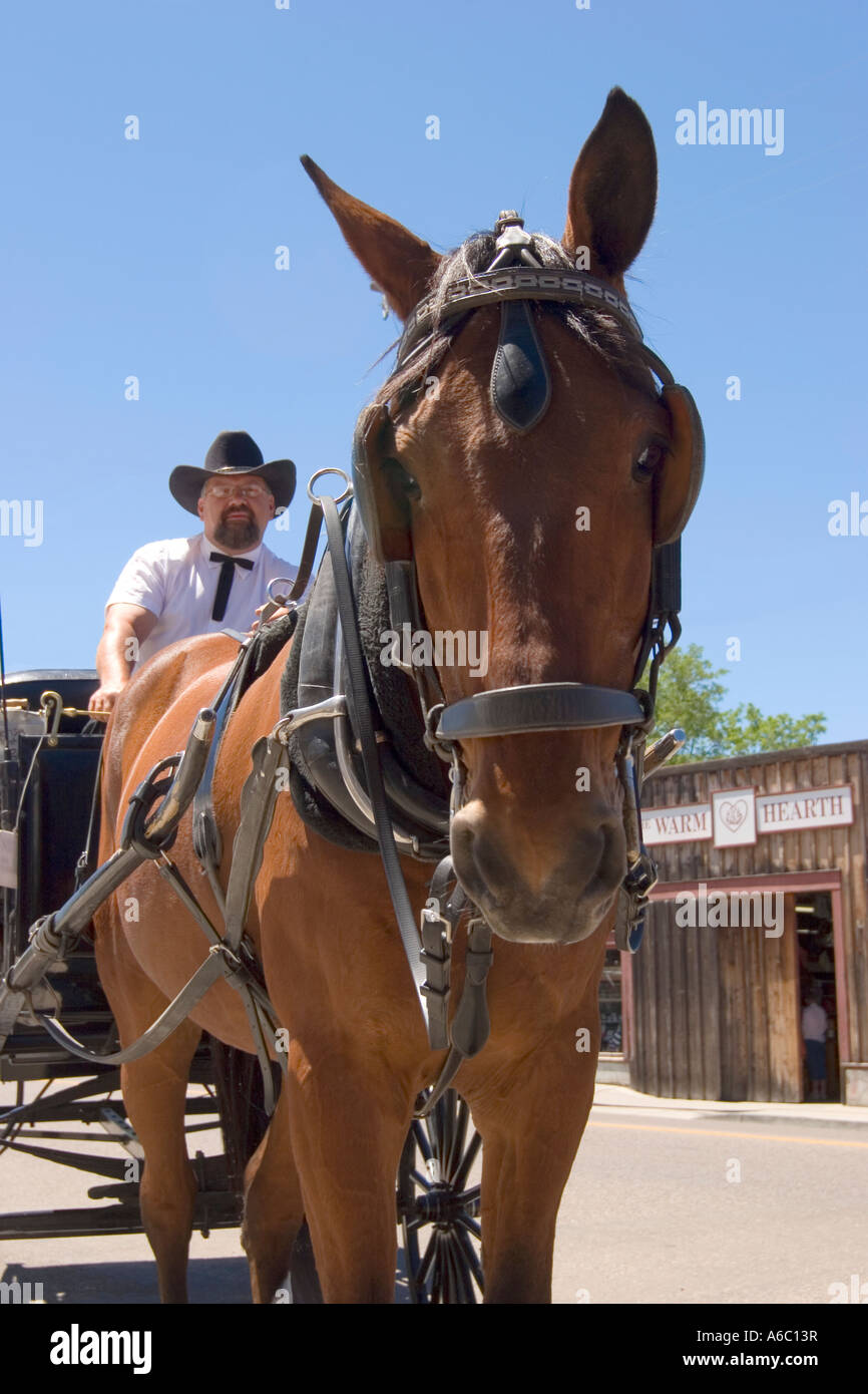 Ein Pferd und Wagen stehend auf der Hauptstraße von Julian in Südkalifornien.  Der Fahrer kann auf dem Wagen sitzen gesehen werden. Stockfoto