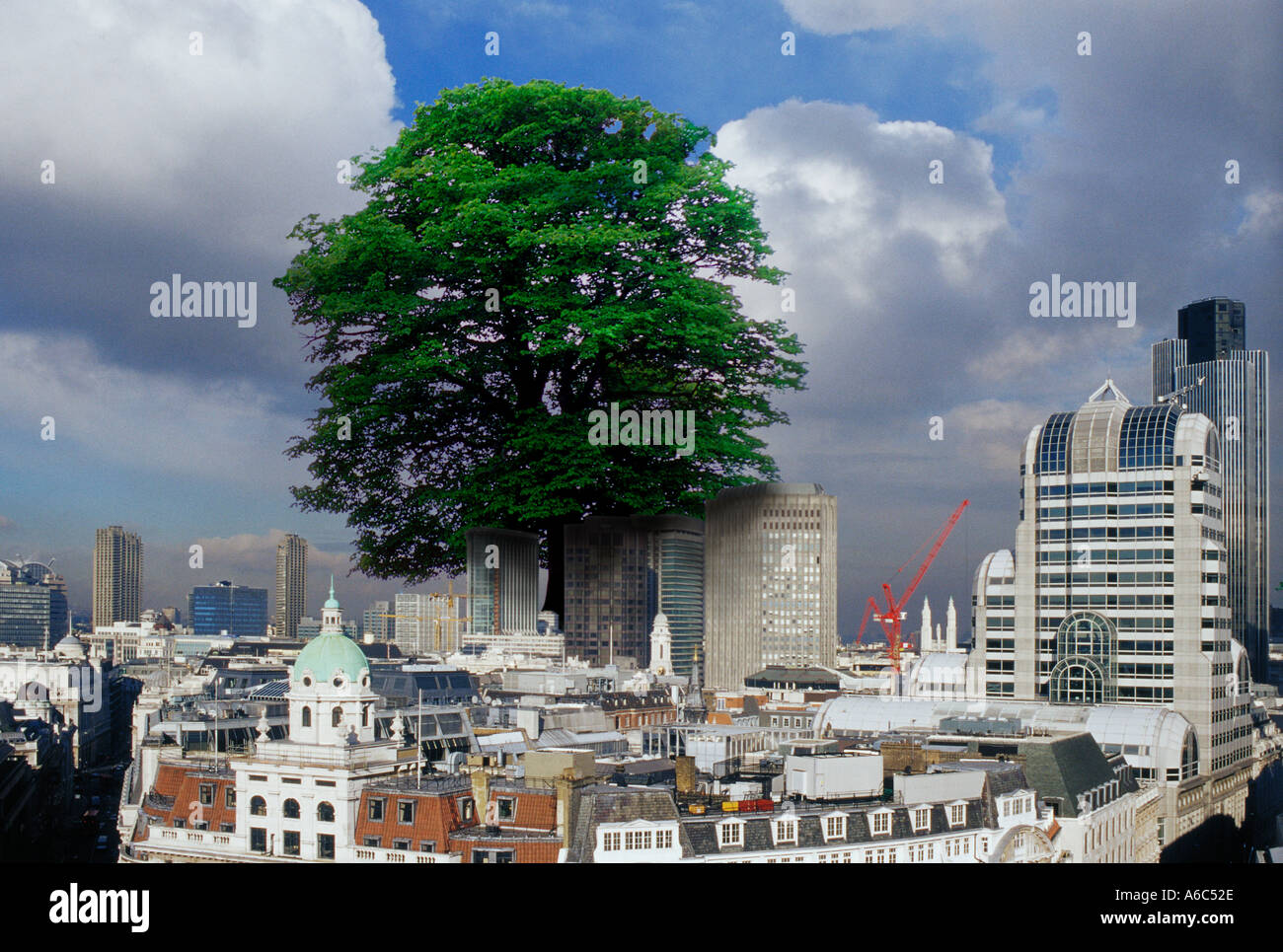 Stadtbild mit Baum aus Entwaldung Stockfoto