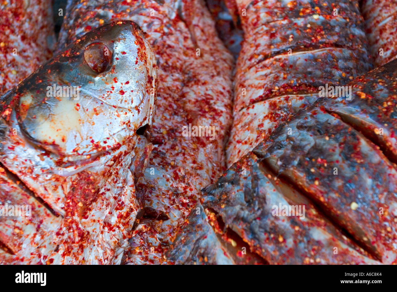 Kühl gewürzten Fisch, Pakistan Stockfoto
