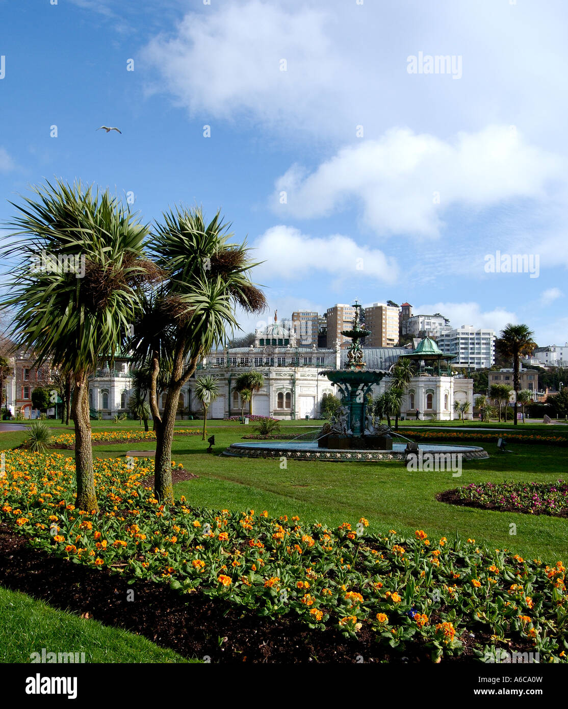 Palmen auf Torquay Promenade mit den Brunnen und Pavillon im Hintergrund Stockfoto