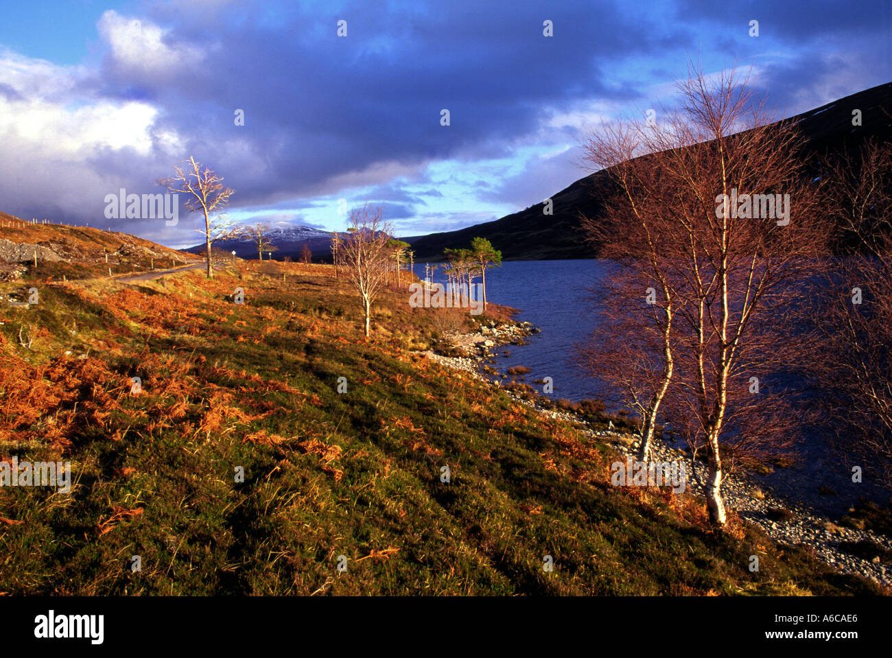 Straßenseite Stockfoto