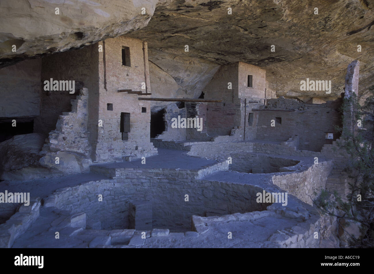 Balkon Ruine Mesa Verde Nationalpark Colorado USA Stockfoto