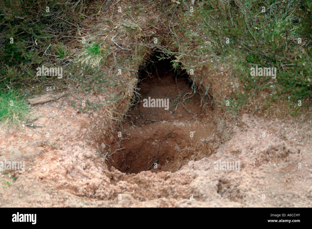 Eingang zu einer Höhle. Stockfoto