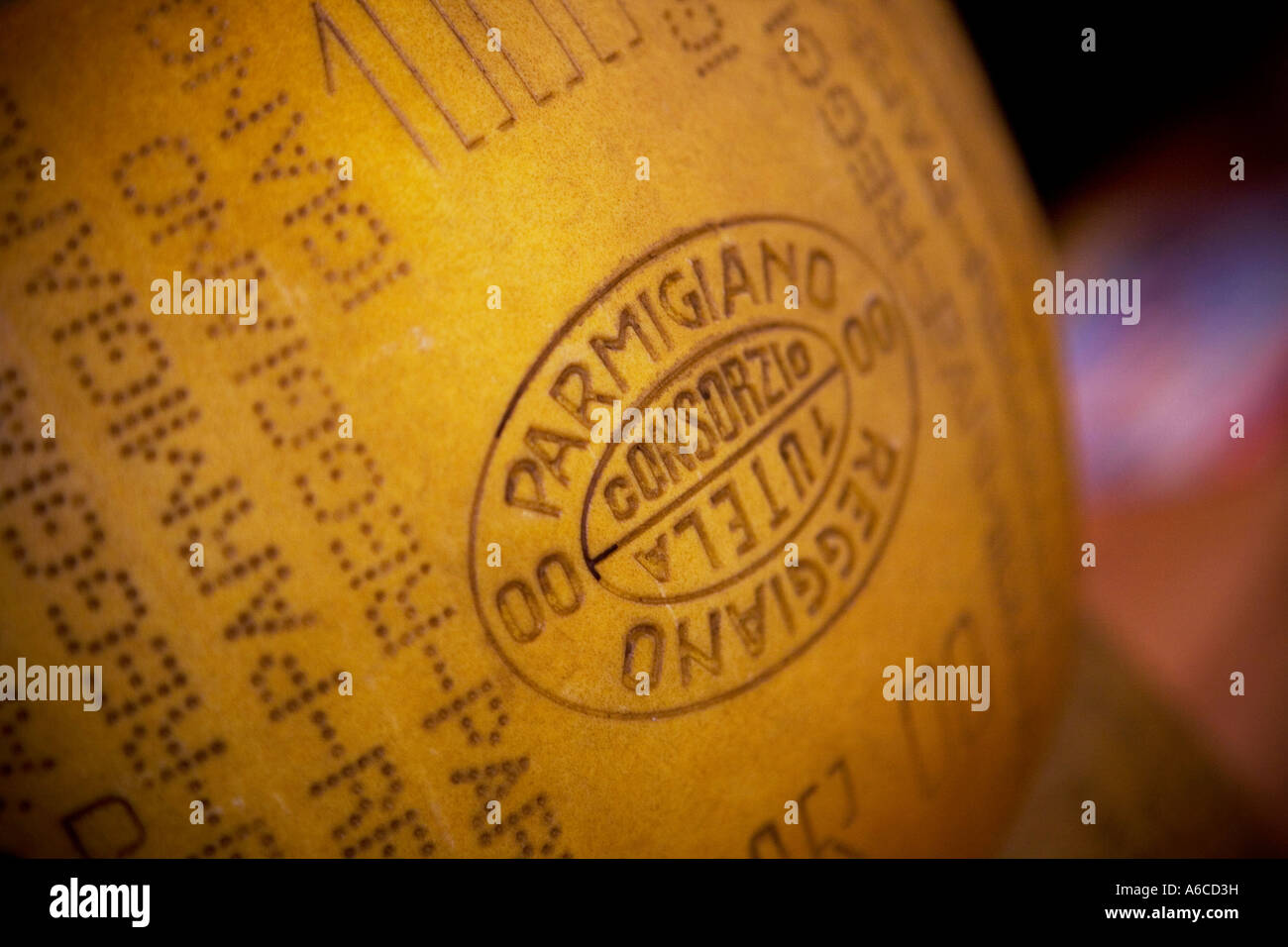 Parmigiano Reggiano Käse Rad auf einem Stall in Borough Market London Stockfoto