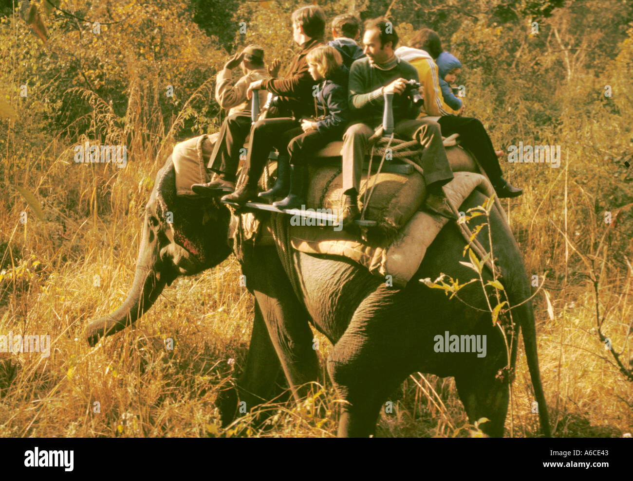 Elefanten zurück Dschungeltour Jim Corbett Nationalpark Indien Stockfoto