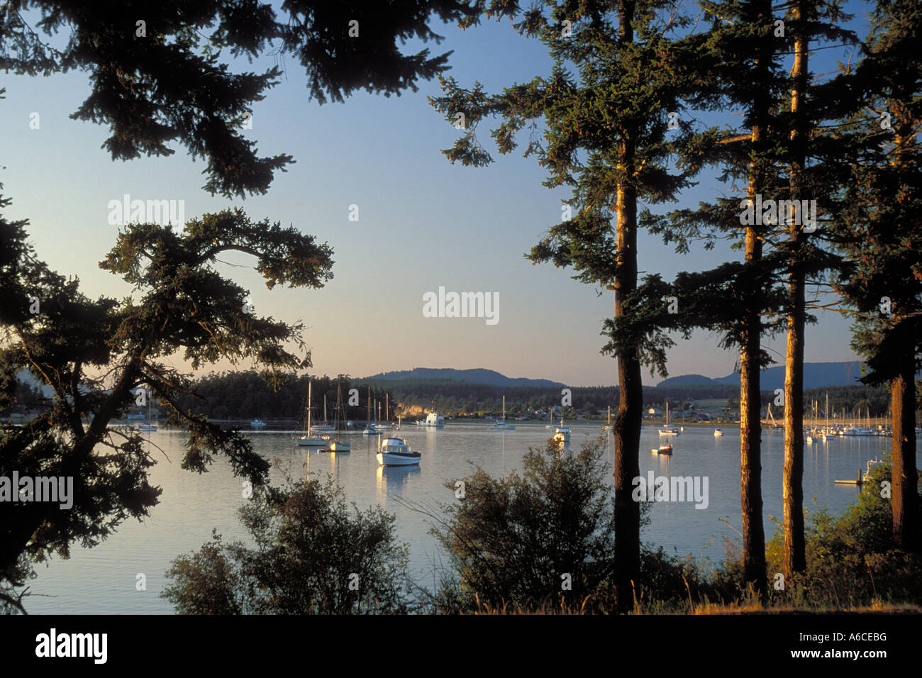 Boote vor Anker in Fisherman Bay bei Sonnenuntergang Lopez Insel San Juan Islands Washington Stockfoto