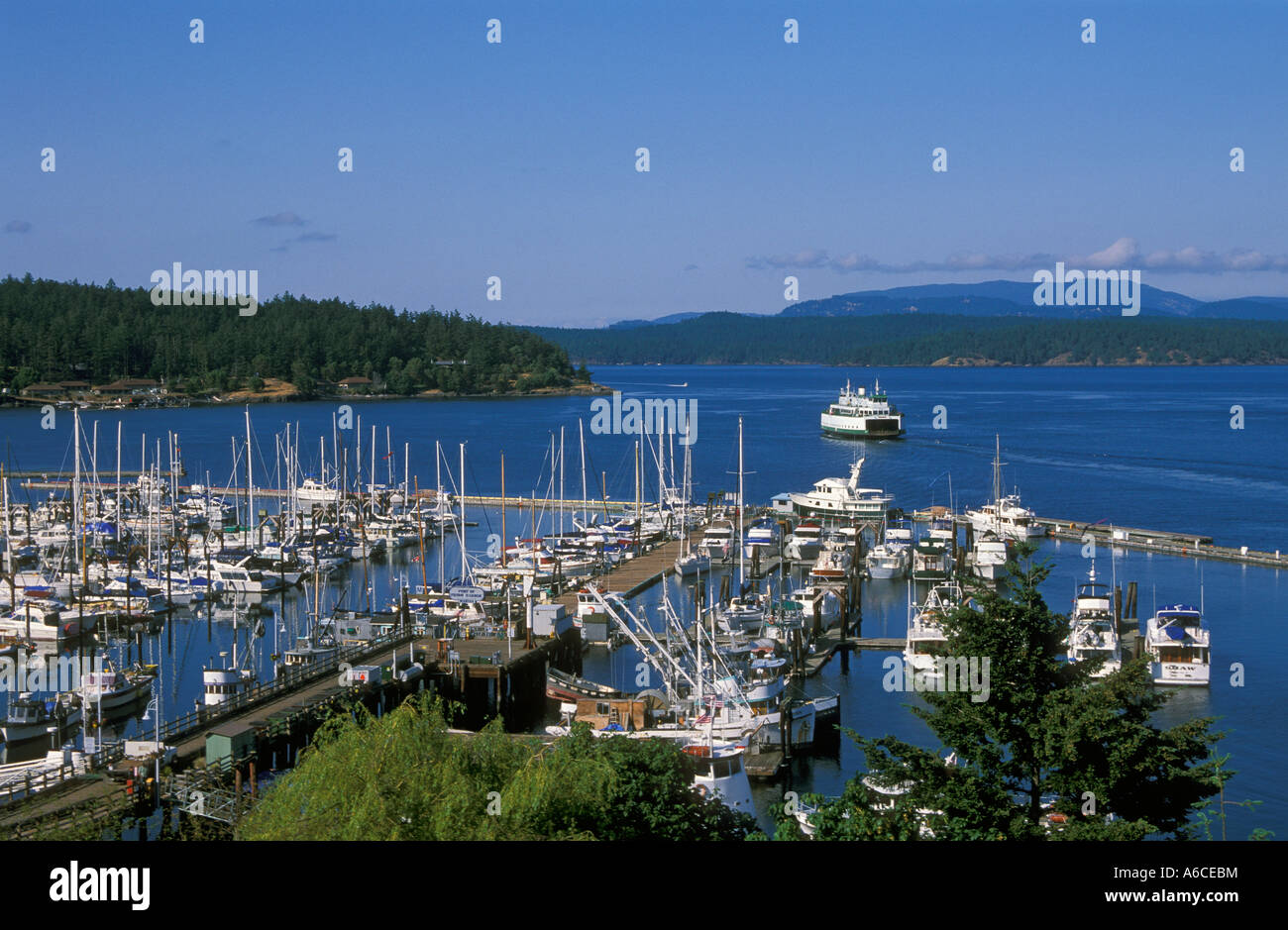 Boote im Hafen und die Fähre in der Bucht am Friday Harbor auf San Juan Island Washington Stockfoto