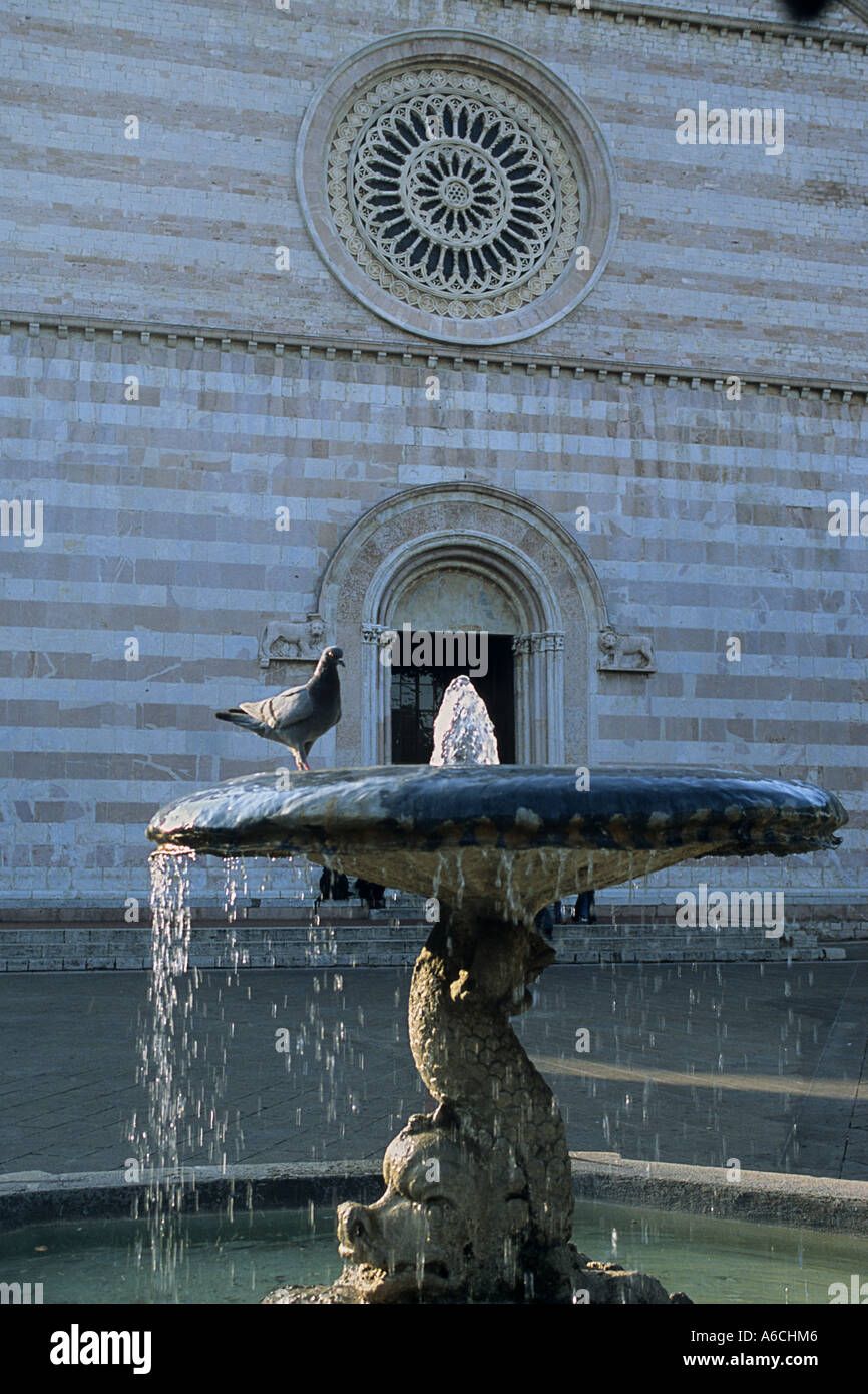 Taube am Brunnen vor Saint Claire Kirche in Assisi Italien Stockfoto