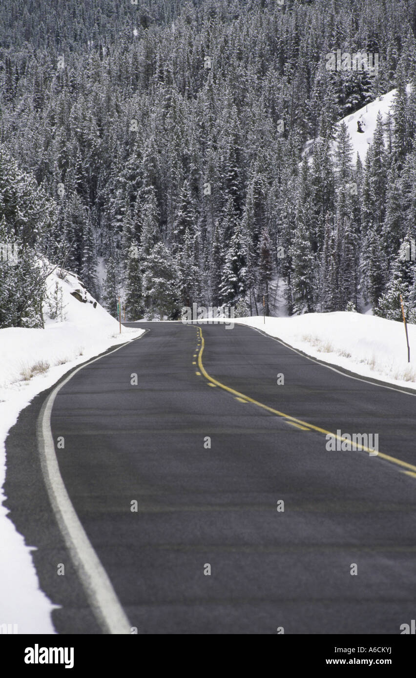 Weg durch den Schnee bedeckt Landschaft, Highway 75 Ketchum, Idaho, USA Stockfoto