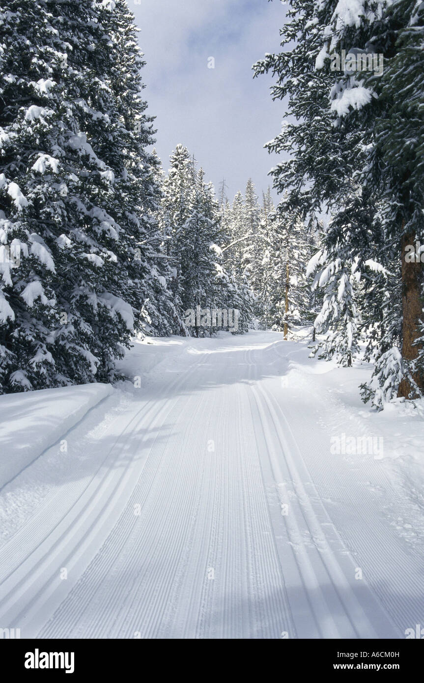 Schneebedeckten Pfad, Sun Valley, Idaho, USA Stockfoto