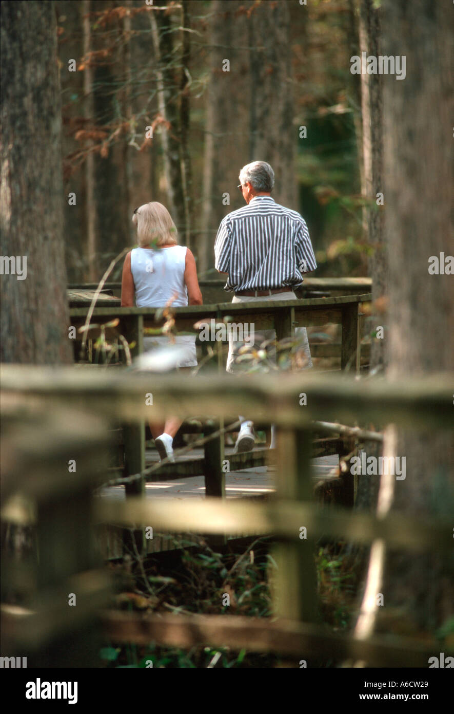 Highlands County Hochland Hängematte State Park Besucher auf Promenade unter Zypressen Florida Stockfoto
