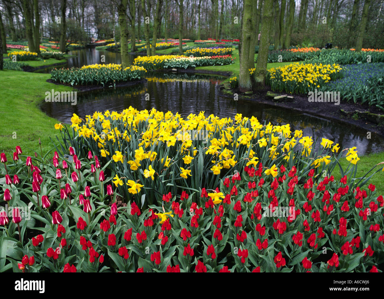 Die KUKENHOFF Gärten wachsen jede Art von TULIP erdenklichen anderen Blumenzwiebeln pflanzt Bäume als auch die Niederlande Stockfoto