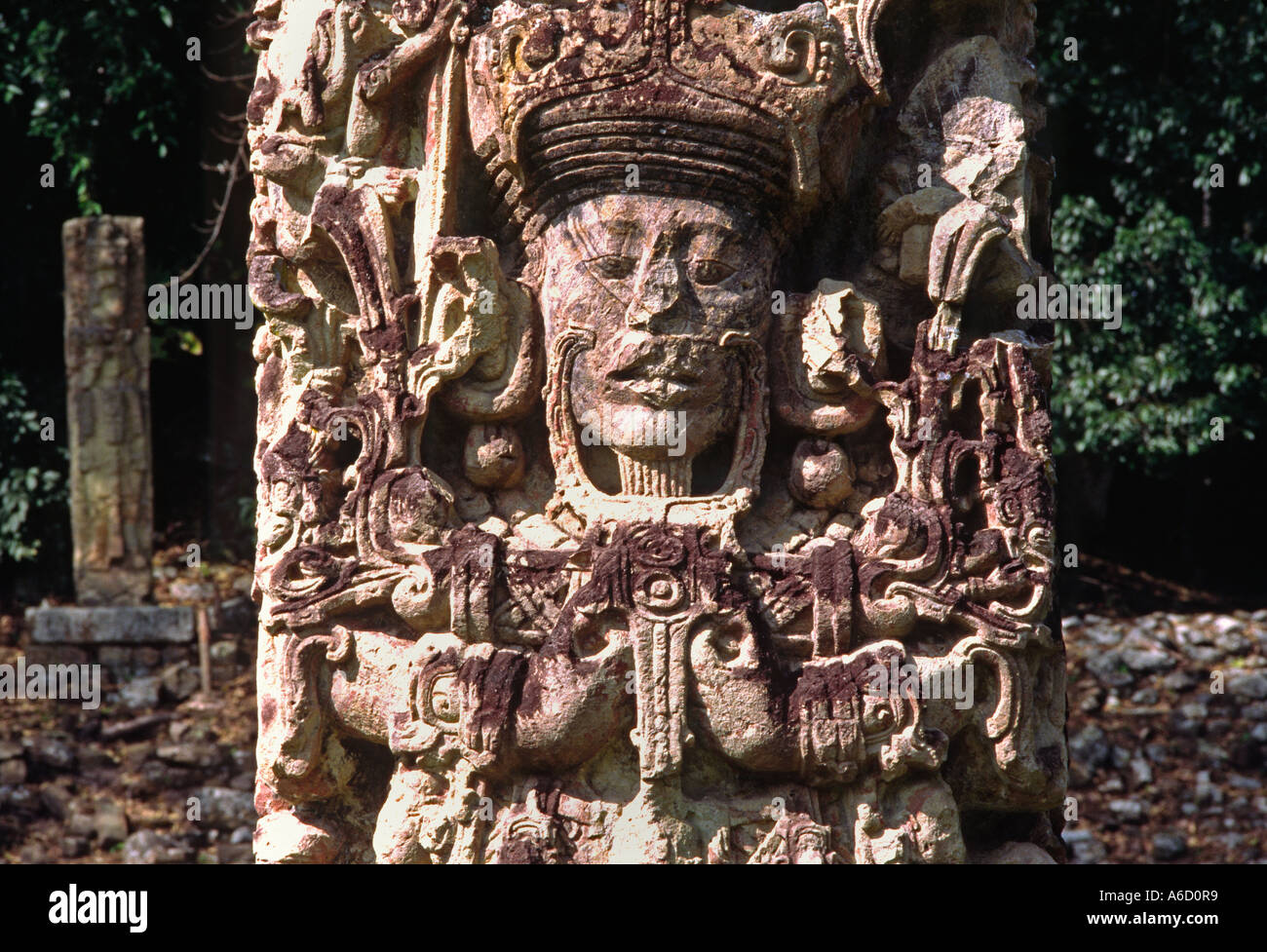 Stele B AD 721 Maya Steinbildhauen Darstellung des Beitritts von 18 Kaninchen einen Maya-Herrscher COPAN Ruinen HONDURAS Stockfoto