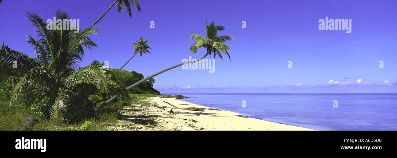 Plantation Island Fidschi Stockfoto