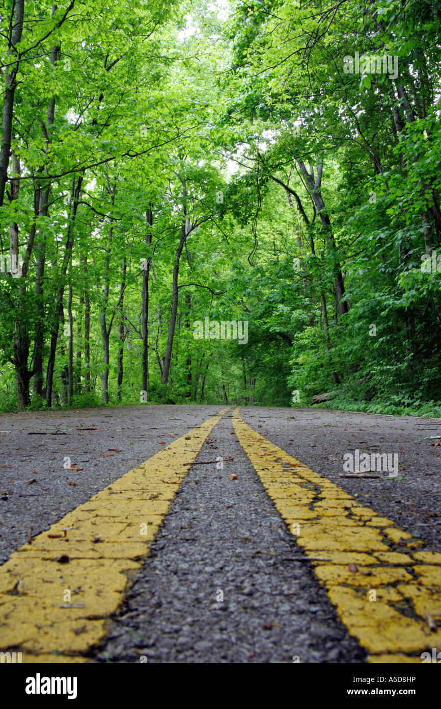 Nahaufnahme einer Straße, die Kennzeichnung, Otter Creek Road, Radnor Lake State Park, Tennessee, USA Stockfoto