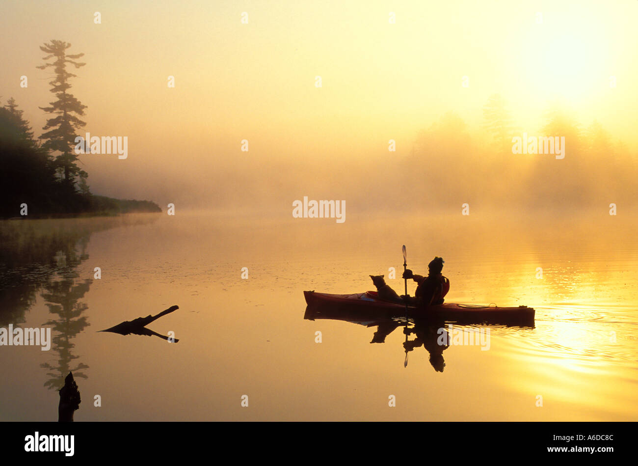 Kajakfahrer und ein Hund auf Nicks See in den Adirondacks des Staates New York Stockfoto