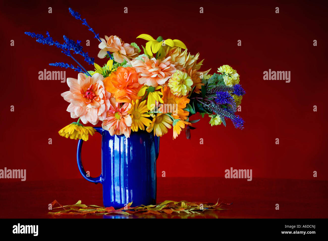 Nahaufnahmen von Blumen in einer vase Stockfoto