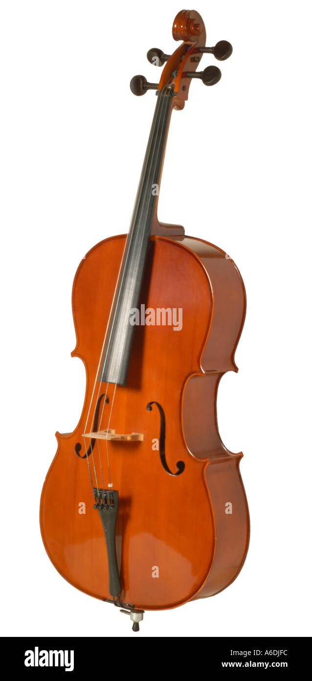 Antoni 3 4 Cello Studio Ausschnitt ausschneiden weißen Hintergrund Ko-ausfallende Stockfoto