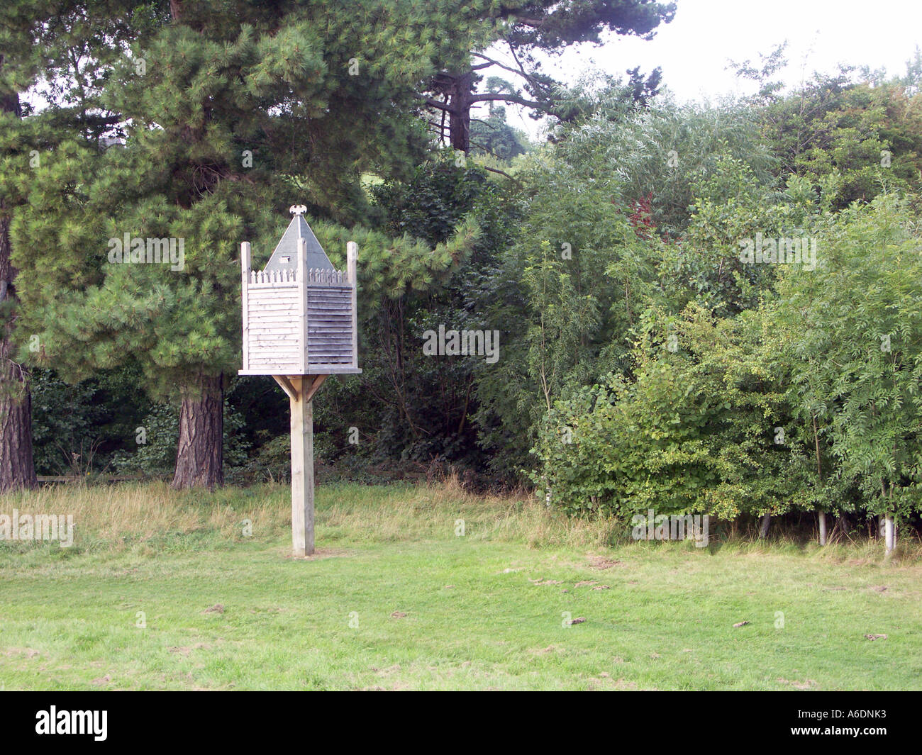 Fledermauskasten Schlafplatz am Shustoke Stausee in Warwickshire. Stockfoto