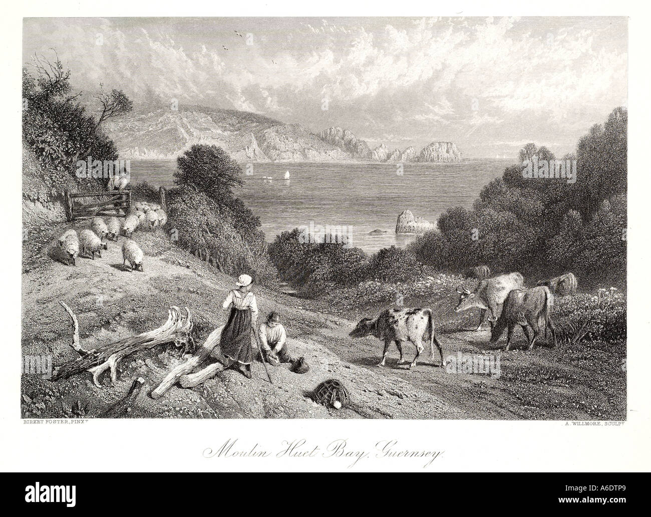 Moulin Huet Bay Guernsey Schafe Kuh Bauernhof Kanalinseln Großbritannien Vogtei britische Krone Abhängigkeit englischen Kanalküste N Stockfoto