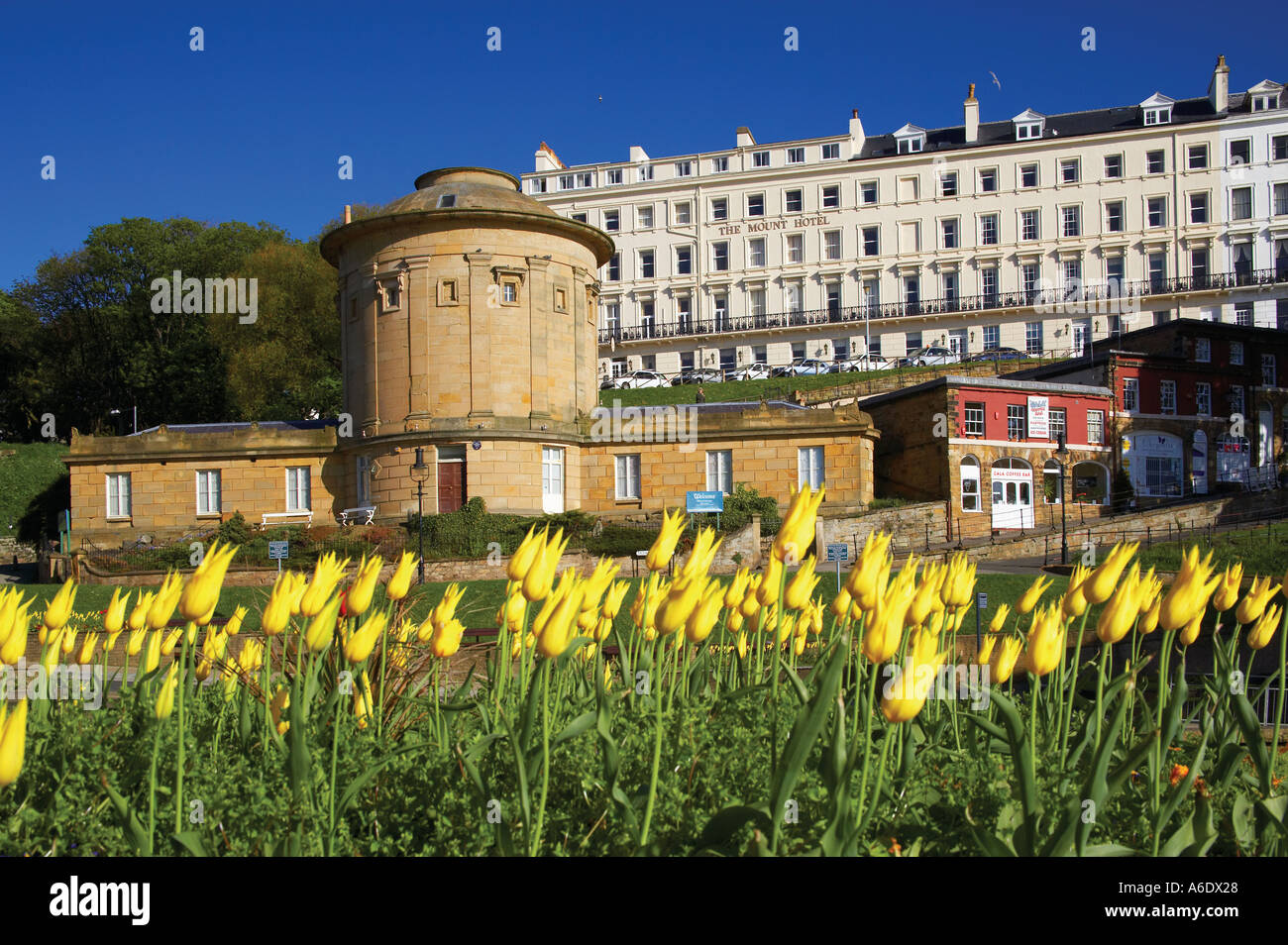 Die Rotunde Museum Scarborough Yorkshire England erbaut 1828-9 durch die Scarborough Philosopphical Gesellschaft Architekt R H scharf Stockfoto