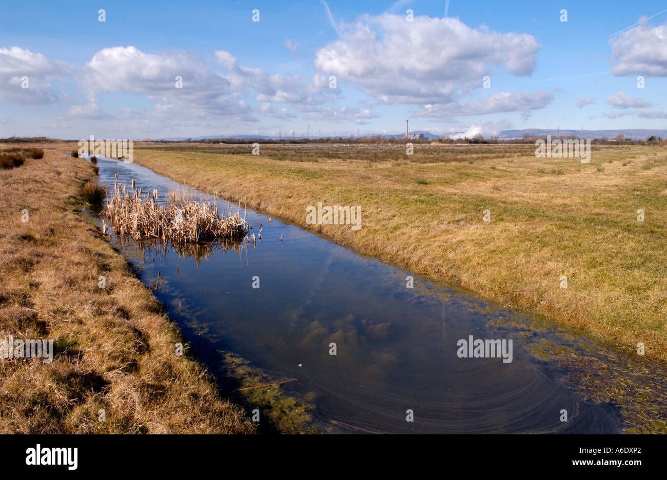 Reen Entwässerungsgraben an Newport Feuchtgebiete National Nature Reserve South East Wales UK Stockfoto