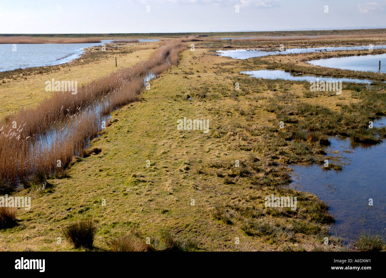 Lagunen in Newport Feuchtgebiete National Nature Reserve South East Wales UK GB Stockfoto