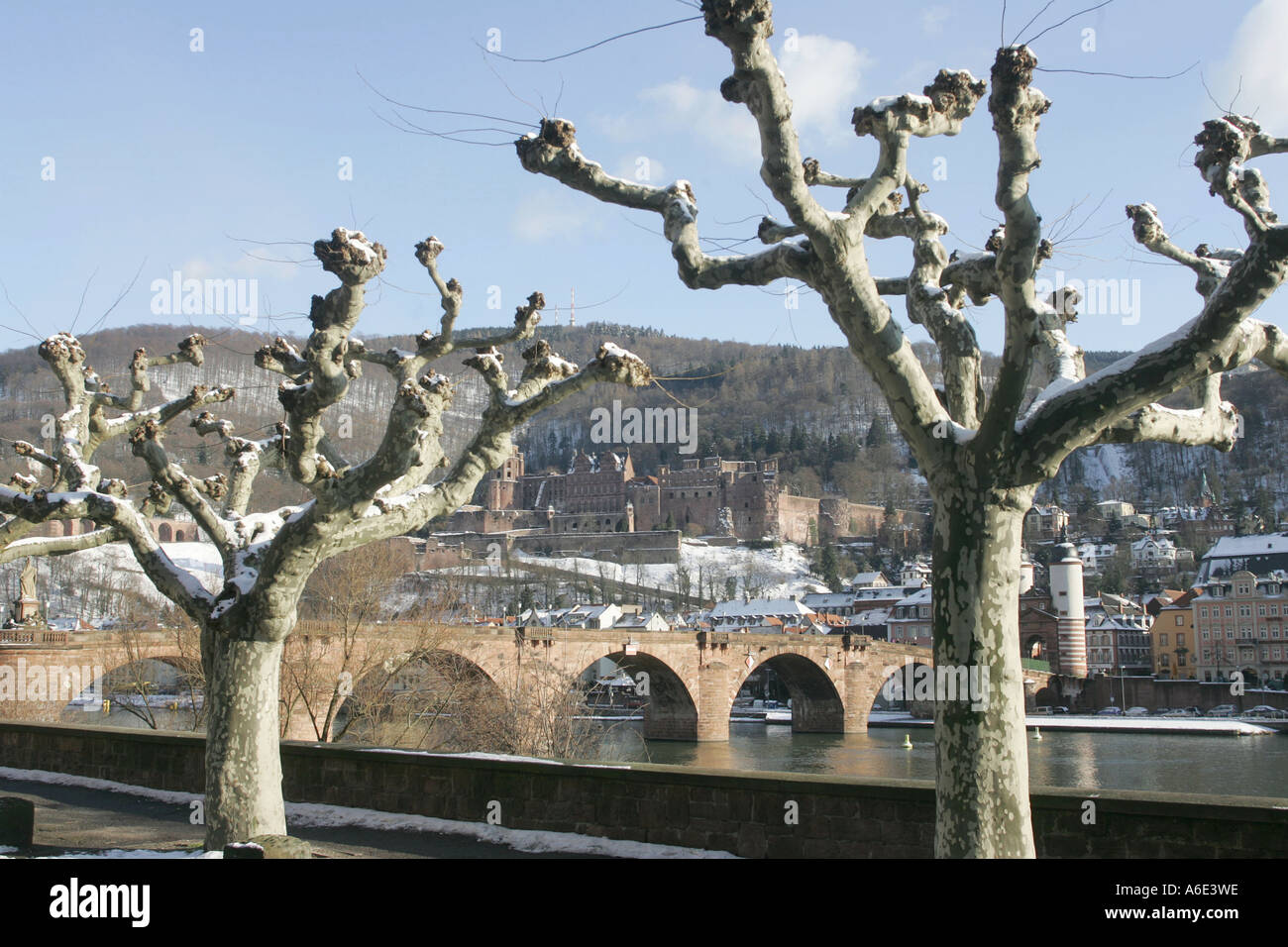 28.02.2005, DEU, Heidelberg, Schloss mit Neckar in der Wintersonne Stockfoto