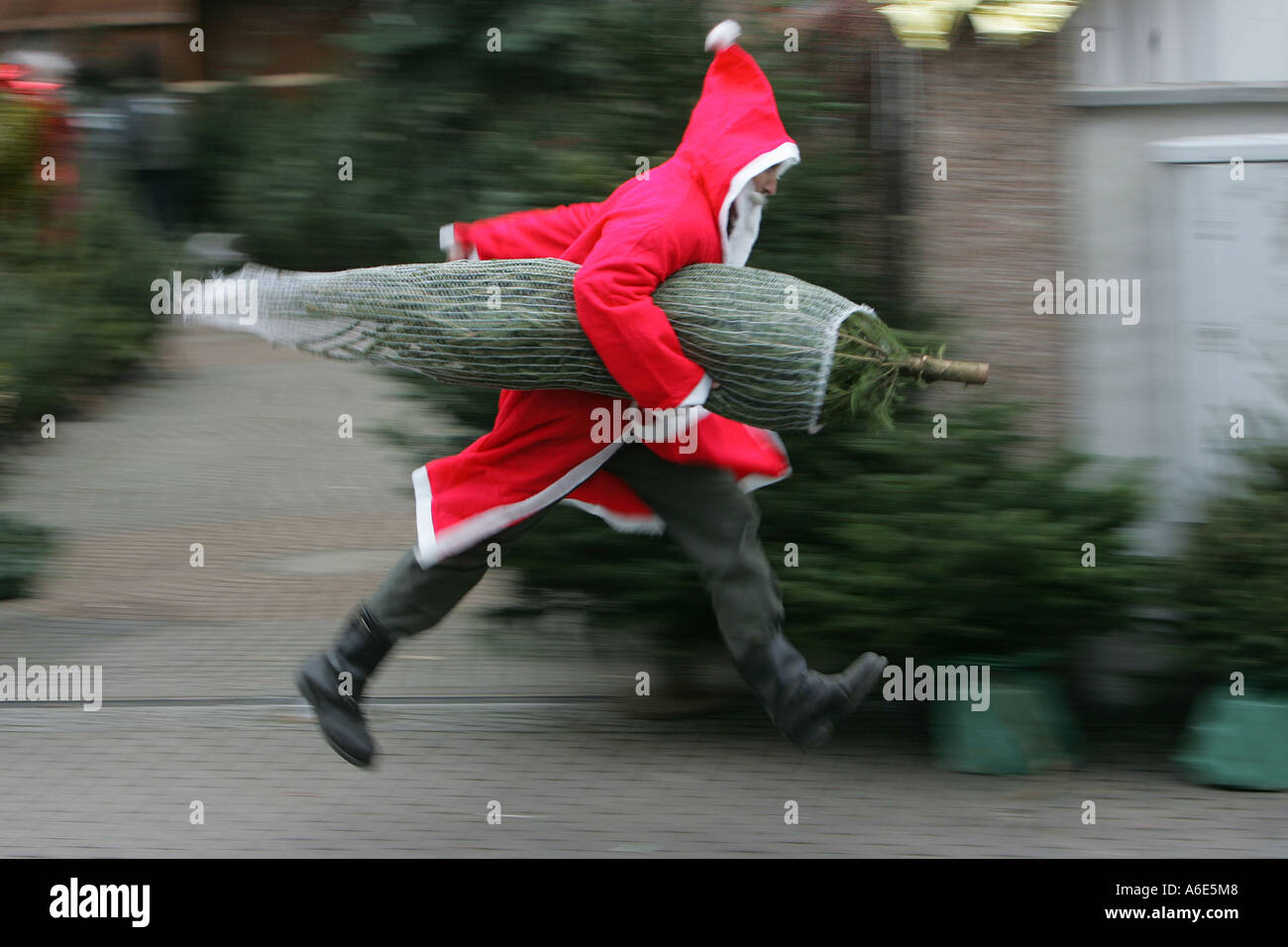 DEU, Bundesrepublik Deutschland, Viernheim, ausgeführt mit einem Weihnachtsbaum Weihnachtsmann Stockfoto