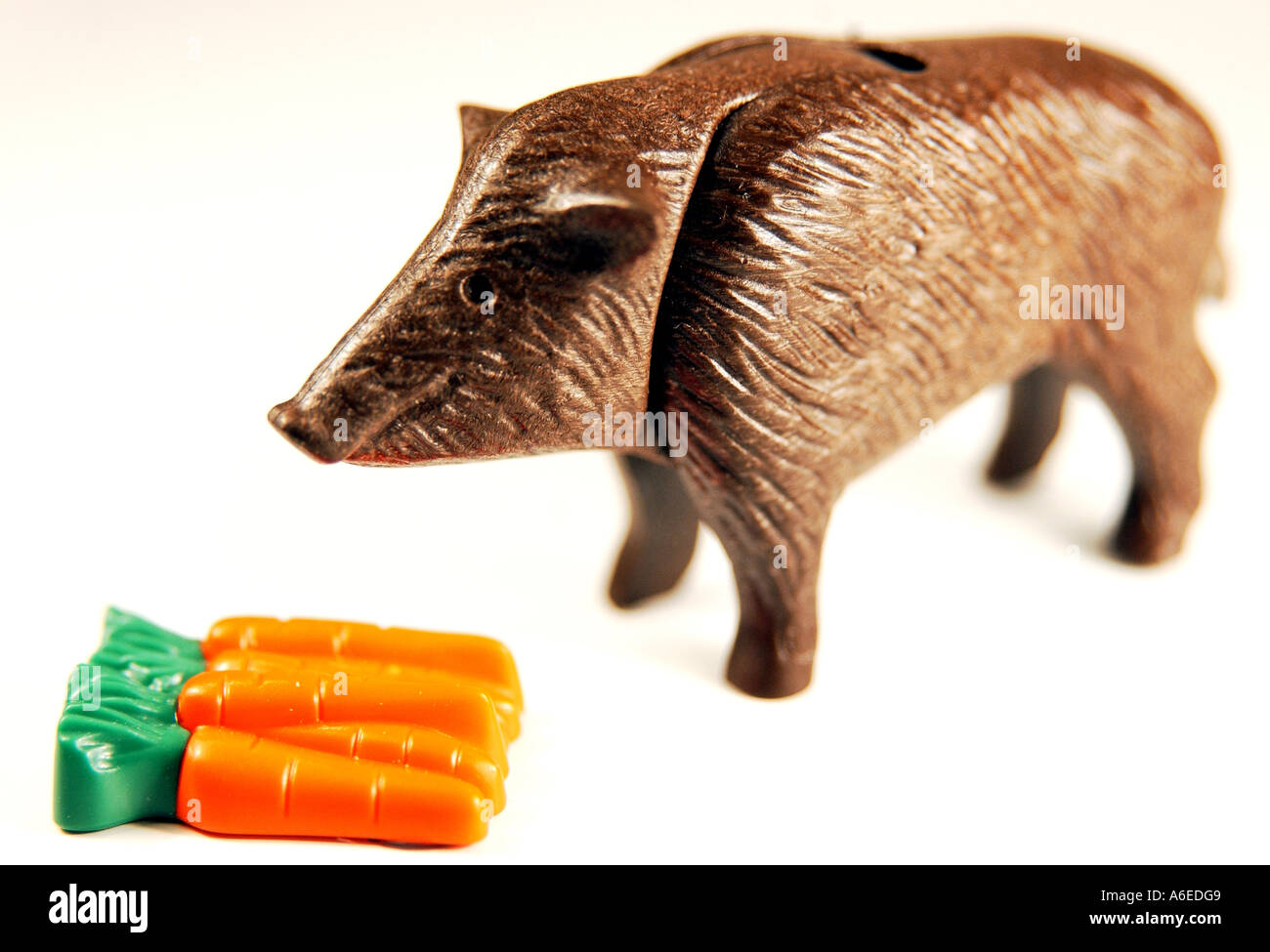 Wildschweine Menue ist Karotten Stockfoto