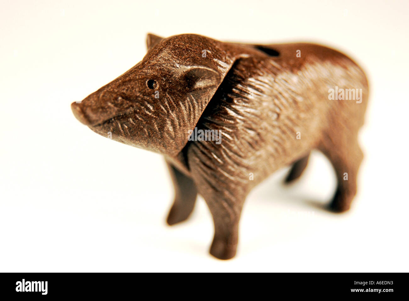 Wildschwein Stockfoto