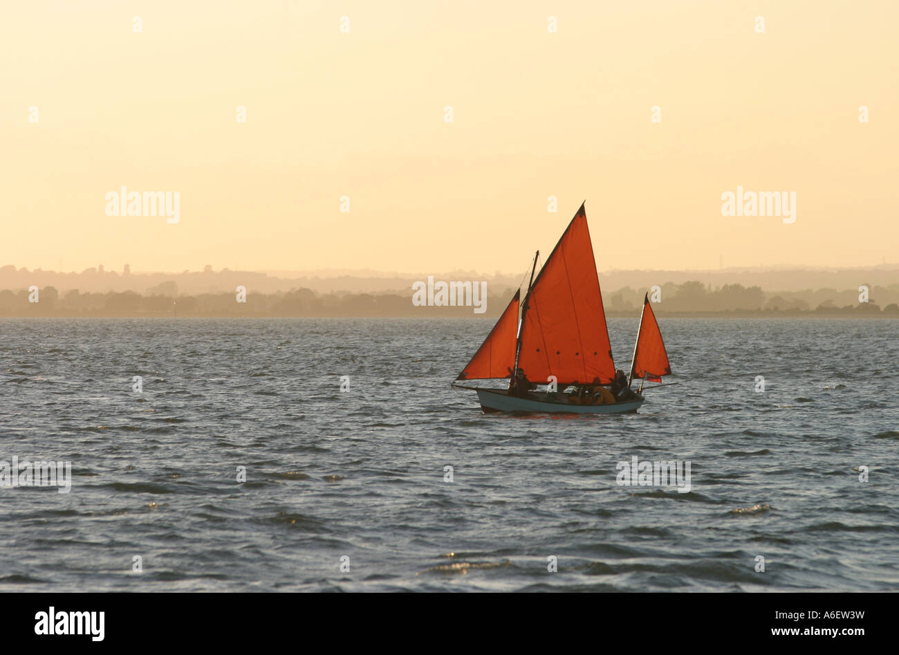Ein Segelboot mit roten Segeln Segeln bei Sonnenuntergang, Chichester, Sussex Stockfoto