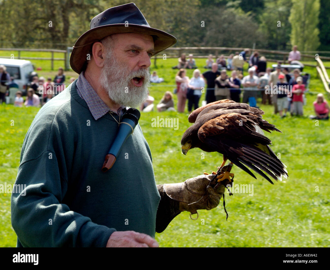 Ein Handler Wildbird hält ein Falke einen Vortrag über ländliche Freizeitbeschäftigungen in England zu verzichten Stockfoto