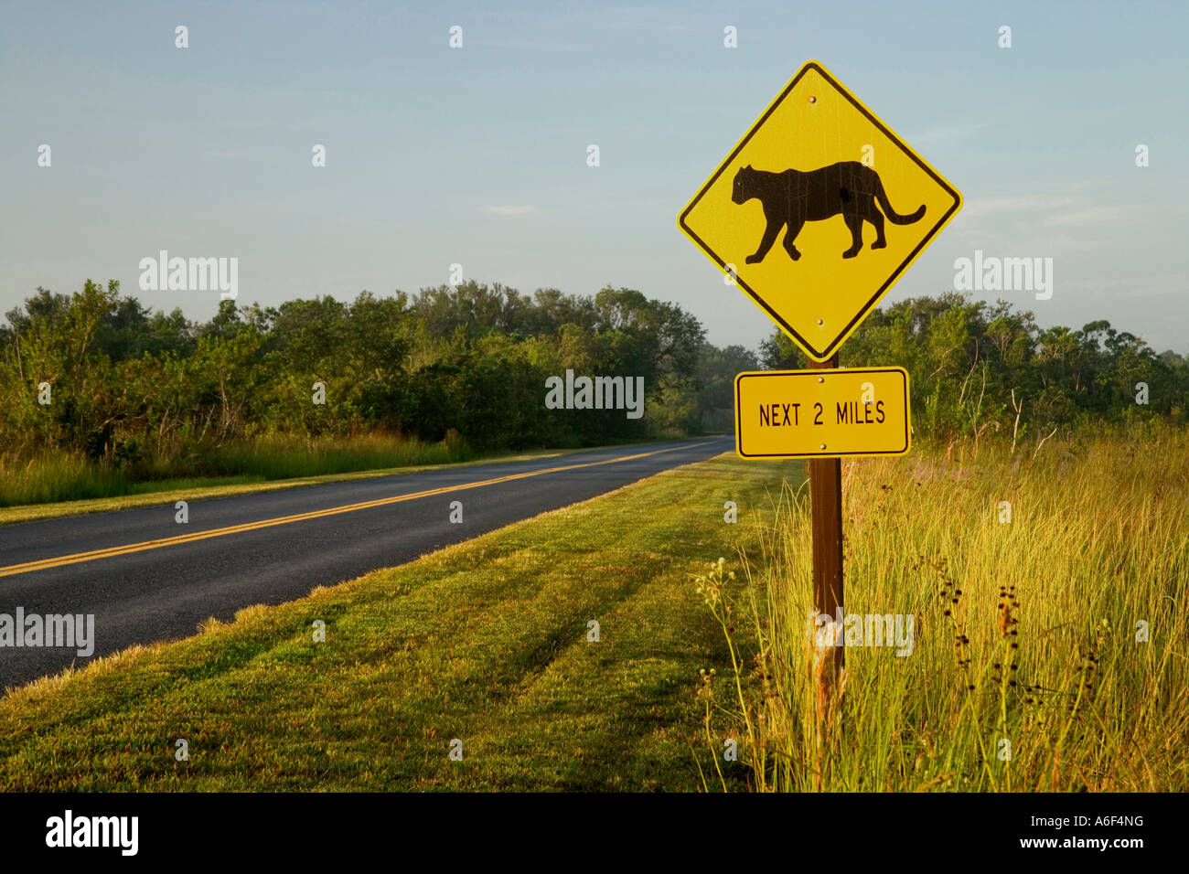 Panther Xing Schild, Everglades Nationalpark. Stockfoto