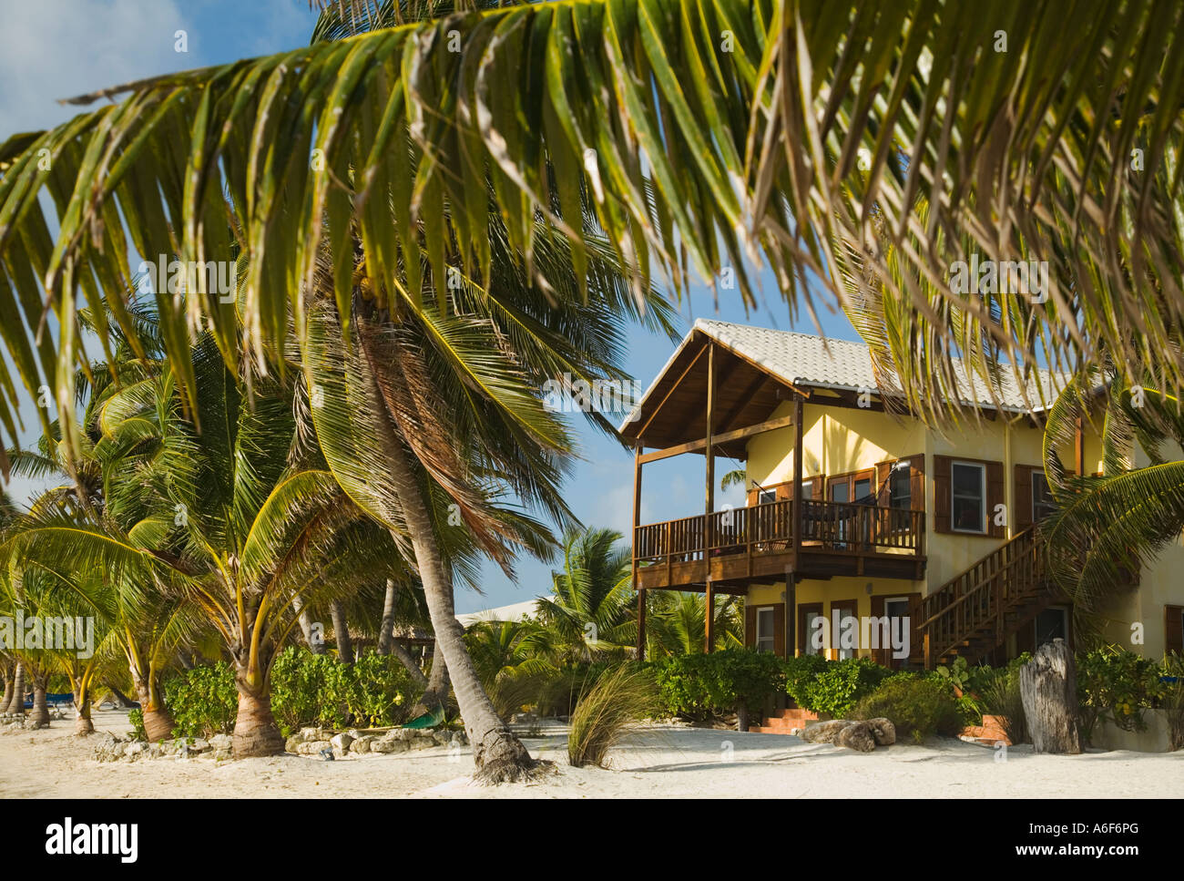 BELIZE Ambergris Caye zwei Geschichte Lodge El Pescador Resort angesehen durch Baum Zweige sandigen Palmenstrand Stockfoto