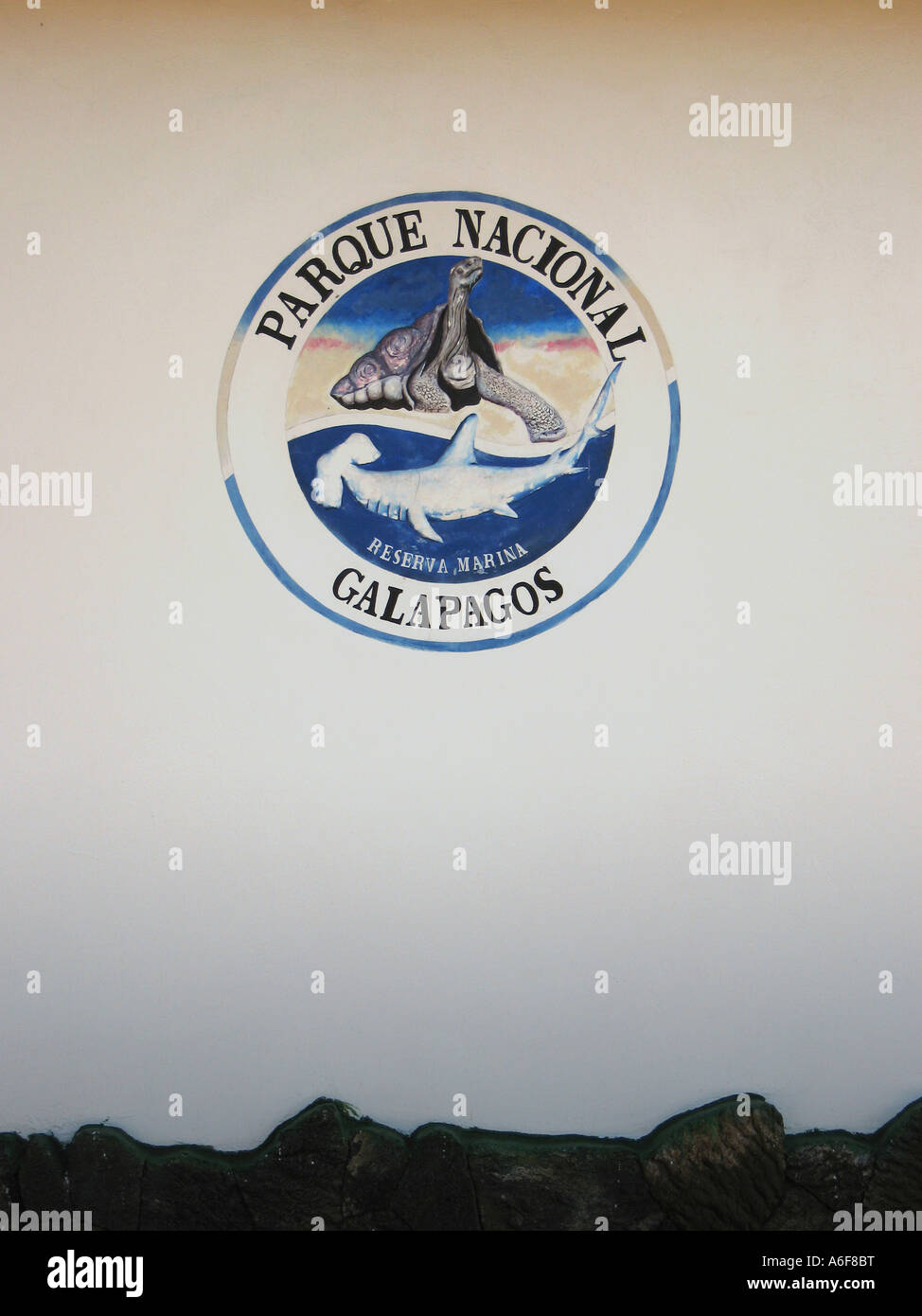 Schildkröte-Logo auf einer Wand in der Darwin-Forschungsstation auf Santa Cruz Galapagos Ecuador Stockfoto