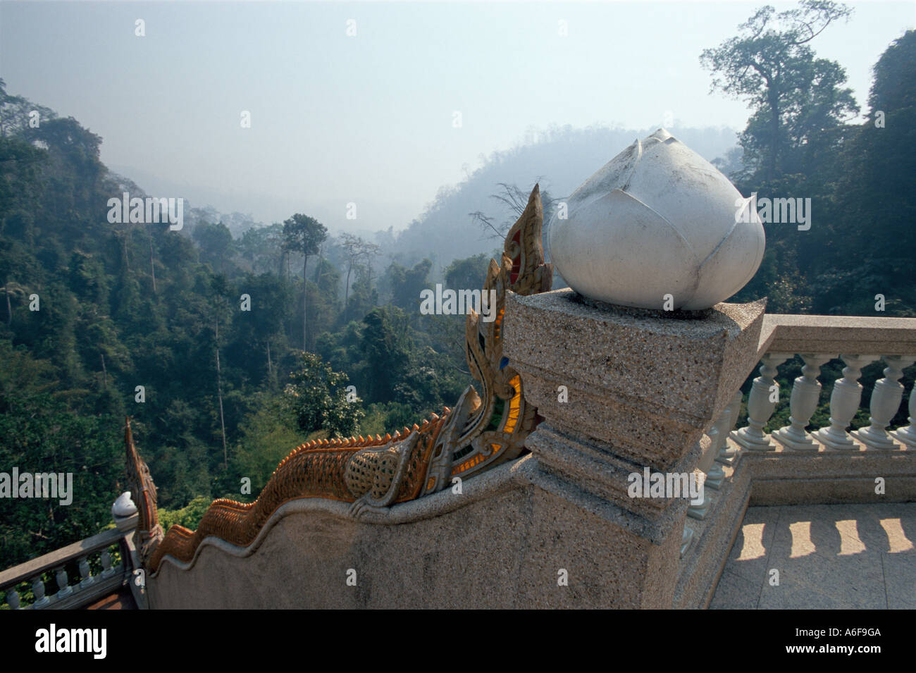 Naga Lotus und Nebel am Wat Tham Pha Plong, Chiang Dao, Thailand Stockfoto