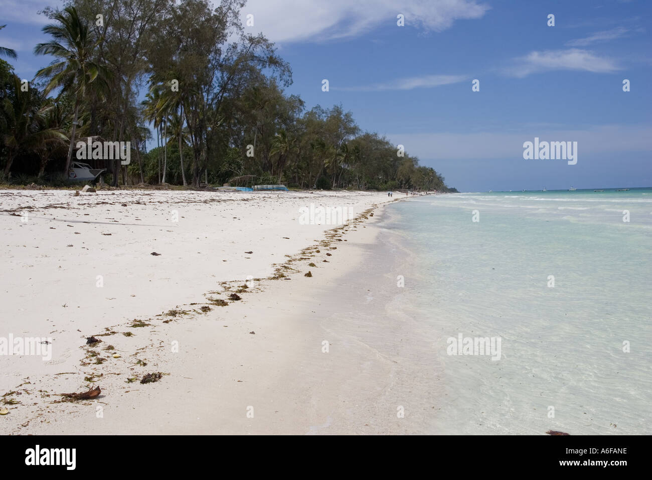 Einsamen tropischen Strand in der Nähe von vierzig Diebe Restaurant Diani Beach Südküste in der Nähe von Mombasa Kenia in Ostafrika Stockfoto