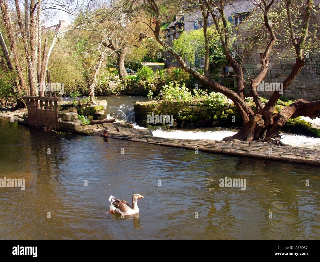 Mill Stream Mühle Pont Aven Finistere Bretagne Frankreich Stockfoto