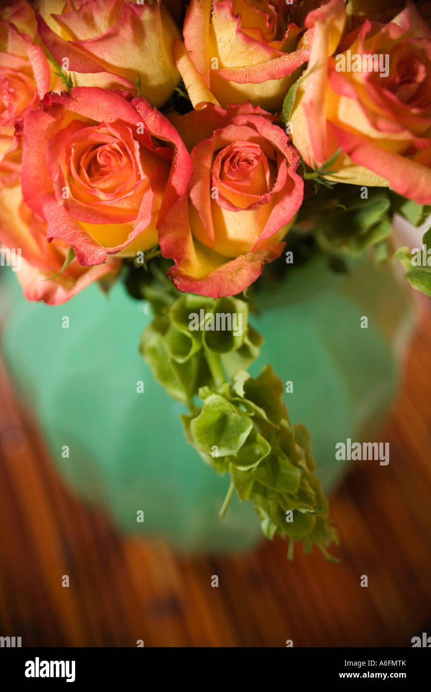 Rosen in vase Stockfoto